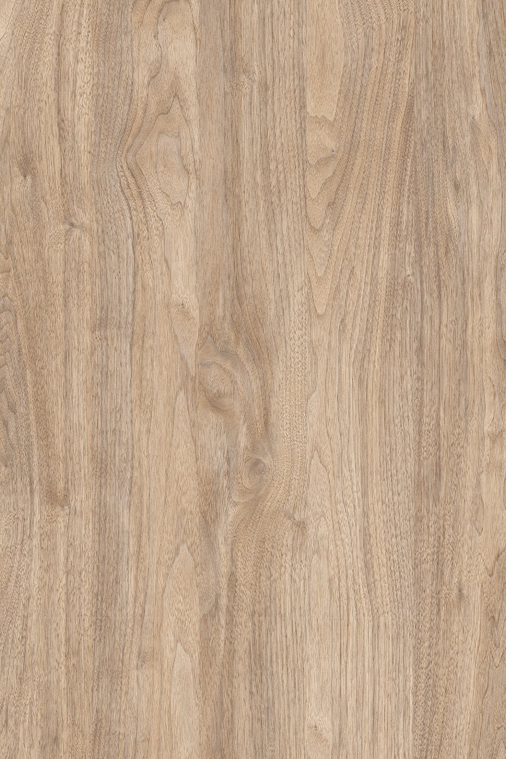 Çok Amaçlı Kiler Dolabı (Hazar-Beyaz) - Görsel 3